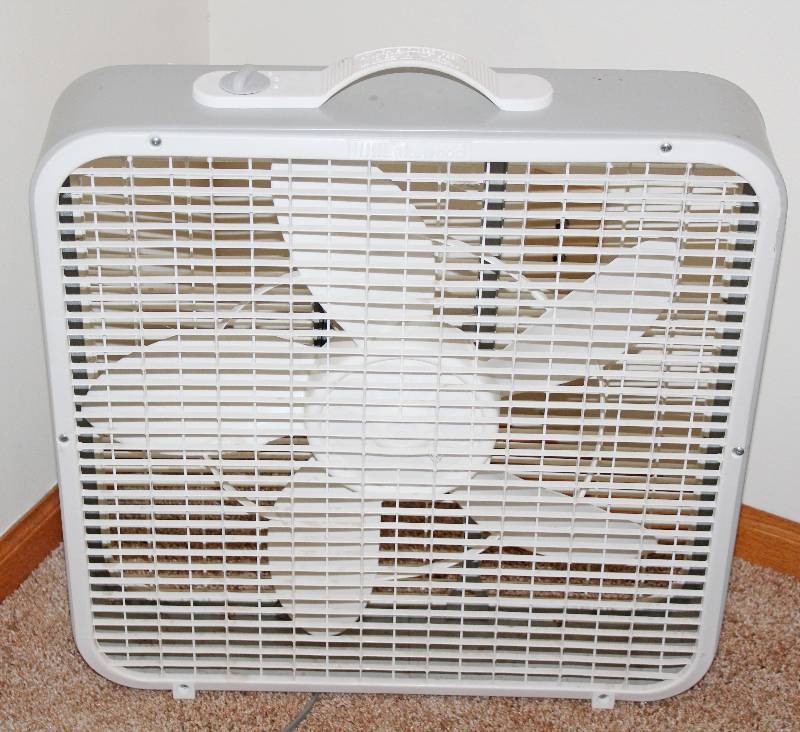lot 9365 image: 20 Box Fan - Works