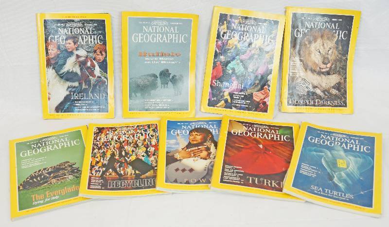 lot 3394 image: Lot of National Geographic Magazines - 1994 - See Photos