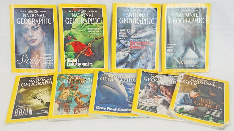 lot 3395 image: Lot of National Geographic Magazines - 1995 - See Photos