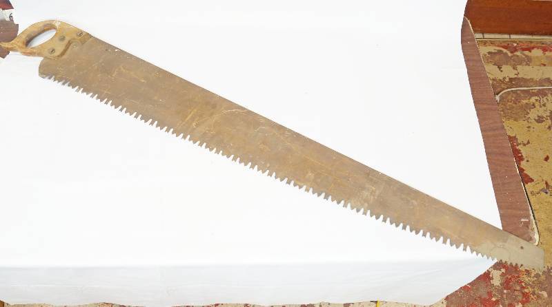 lot 1001 image: Timber Saw - 54 Blade Length