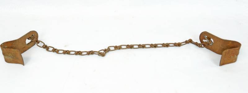 lot 1103 image: Vintage Cow Hobbles