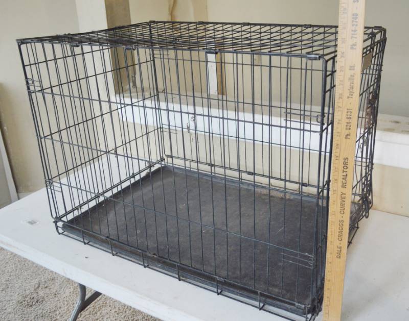 lot 4132 image: Petco Large Dog Kennel 23 Wx26Tx36D