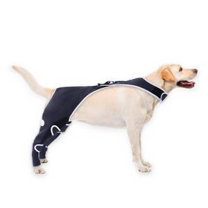 lot 2350 image: Dog Leg Sleeve for Dogs After Surgery, Breathable and Abrasion Resistant Rear Leg Sleeve, Reflective Material for Large Dogs Recovery Sleeve Anti Licking Wounds - Retail $89.39