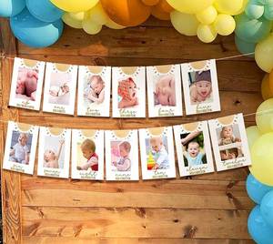 lot 2458 image: JeVenis Boho First Trip Around the Sun Decoration 12 Months Photo Banner One in the Sun Party Decoration Sunshine First Birthday Decor