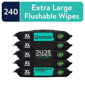 lot 8411 image: DUDE Wipes Flushable Wipes XL Wet Wipes for at Home Use Mint Chill 48 Count 5 Pack