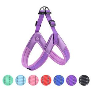 lot 10010 image: EXCELLENT ELITE SPANKER No Pull Dog Harness Step-in Adjustable Reflective Vest Soft Padded Easy Pet Chest Strap with Leash Clips for Small Medium Large Dogs Walking Training(Purple-S)