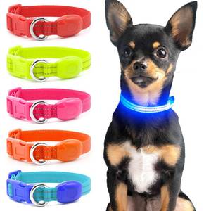 lot 10039 image: Domagiker LED Dog Collar Rechargeable - Reflective Light Up Cat Collar Adjustable Glowing Puppy Necklace Safety Dog Lights for Night Walking (XS, Blue)
