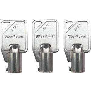 lot 12347 image: (3) KeyPower 2001-2100 Keys for Sentry Safe Lock Boxes, Tubular Barrel Round Ace Key, Pre-Cut to Your Code 2035