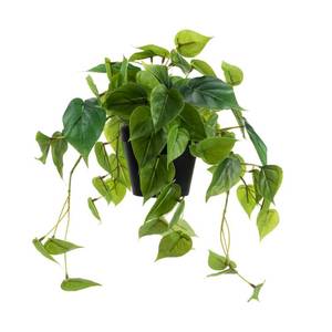 lot 12398 image: LuckyGreenery Artificial Scindapsus Aureus, Realistic Fake Plant with Plastic Pot for Home Office Garden Decoration 1 Pack(8in H)