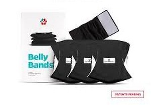 lot 2003 image: Belly Bands Pet Product Set - 3 Washable Bands  1 Extendr