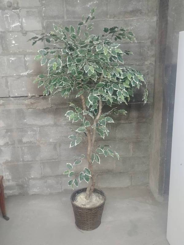 lot 853 image: Room Decor Greenery