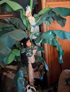 lot 598 image: Tropical 5 ft tree with Themed Decorative Display with Monkey and Parrot Figures