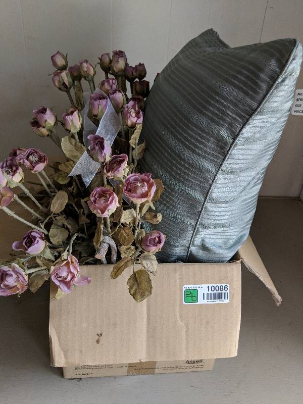 lot 10086 image: Planter and pillow