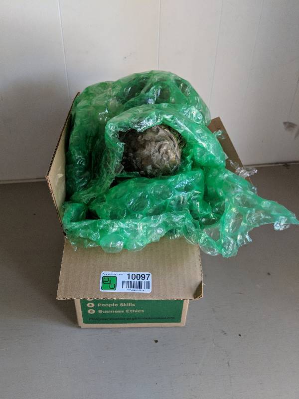 lot 10097 image: Nic-nak items