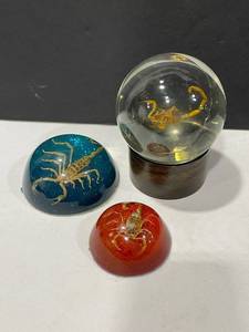 lot 1055 image: Scorpion in acrylic paperweights