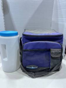 lot 1162 image: Arctic zone cooler and plastic food storage container