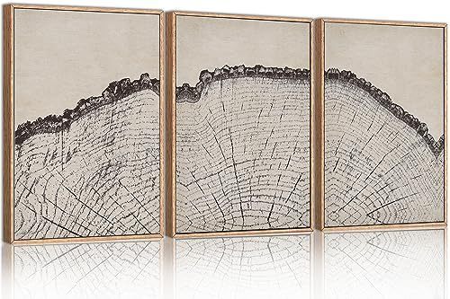 lot 11229 image: HPINUB Vintage Wood Tree Rings Wall Art Set, Framed Canvas Paintings, Black and White Nature-Inspired Decorative for Modern Home Decor for Living Room, Bedroom, Dining Room, Office- 16x24x3
