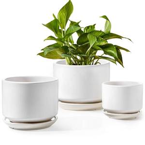 lot 5907 image: LE TAUCI Plant Pots Indoor, 4.35.36.8 Inch, Set of 3, Ceramic Planters with Drainage Hole and Saucer, Modern Indoor Flower Pot with Hole Mesh Pad, Gifts for Mom, Classic White