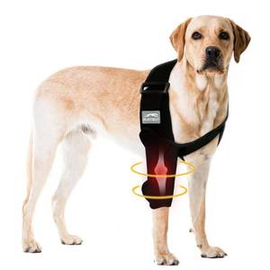 lot 16430 image: Furtent Dog Shoulder Brace Pads for Canine Elbow and Shoulder Support, Elbow Hygroma Dysplasia - Cone Collar Alternative, Pet Wounds Prevent Licking, L