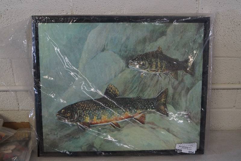 lot 554 image: Framed Fish Picture- Man Cave or Cabin