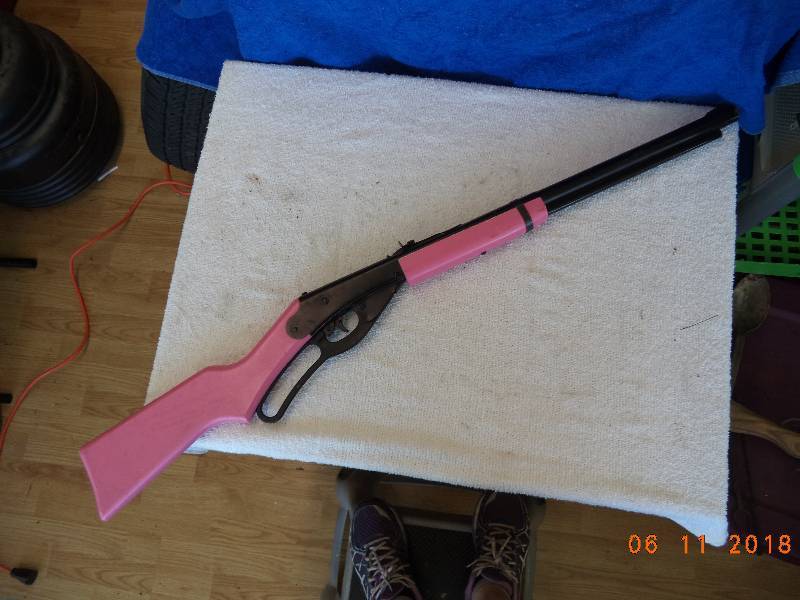 lot 1223 image: Daisy BB Gun  HOT PINK