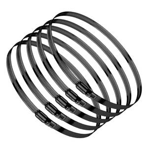 lot 2144 image: BOTTEN 4pcs Black Hose Clamp,8 Inch(194-216mm)304 Hose Clamps Stainless Steel Adjustable Worm Gear Hose Clamps Assortment Kit,radiator hose clamps fuel line clamps
