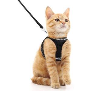 lot 2166 image: rabbitgoo Cat Harness and Leash Set for Walking Escape Proof, Adjustable Soft Kittens Vest with Reflective Strip for Cats, Comfortable Outdoor Vest, Black, M