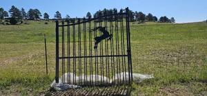 lot 7917 image: Unused&nbspDecorative Metal Gate with Elk  Silhouette Design 14