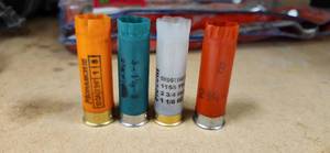 lot 3140 image: Used Shotgun Shell Collection - Mixed Colors
