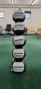 lot 3155 image: Dynamax Medicine Ball Set - 14lb and 20lb Balls with Stand