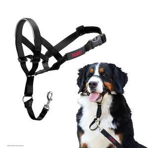 lot 6084 image: HALTI Headcollar - To Stop Your Dog Pulling on the Leash. Adjustable, Reflective and Lightweight, with Padded Nose Band. Dog Training Anti-Pull Collar for Large Dogs (Size 5, Black)