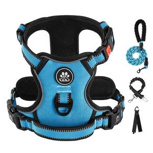 lot 12261 image: IVY&LANE No Pull Dog Harness for Small Dogs, Dog Vest Harness with Leash, Safety Belt and Storage Strap, Fully Adjustable Harness, 360° Reflective Strip, Soft Handle (Blue, S)