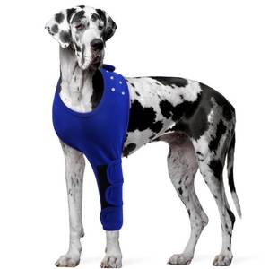 lot 2378 image: IECOii Dog Elbow Brace Sleeve, Adjustable Dog Recovery Sleeve After Surgery, Abrasion Resistant, Blue, XXXXXL