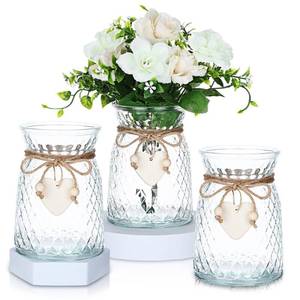lot 3192 image: Tiangrid 3 Pcs Glass Bud Vases with Twine Rope and Heart Label 6.3 Inch Boho Vintage Vase Flower Decorative Glass Vase for Centerpieces Holiday Wedding Home Table Decorations (Clear)