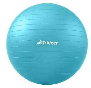 lot 5495 image: Trideer Yoga Ball Exercise Ball