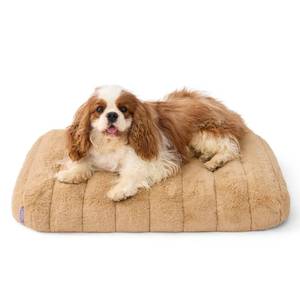lot 5525 image: Lesure Cute Orthopedic Dog Bed Medium Size Dog, Waterproof Chic Flat Pet Beds with Removable Washable Cover, Fuzzy Thick Egg Crate Foam Pet Mat for Indoor Use (30 x 20, Beige)