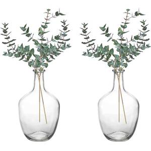 lot 5530 image: Hacaroa 2 Pack Clear Stout Glass Vases, 10 Inch Decorative Balloon Jug Vases Single Bud Neck Flower, Handmade Vintage Flower Vase for Tabletop, Centerpiece, Home, Hotel Decoration