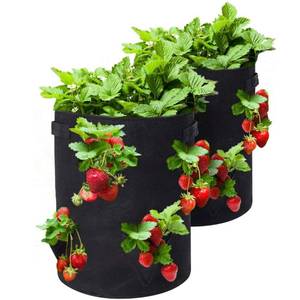 lot 6028 image: Strawberry Grow Bags, 2 Pack Strawberry Planter with Holes Grow Pockets, Breathable Non-Woven Fabric Reinforce Handle Plant Grow Bag for Garden Strawberries, Herbs, Flowers (8 Holes - 10 Gallon)