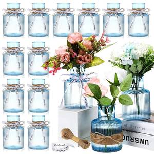 lot 11711 image: Bokon 12 Pcs 5 Plastic Bud Vases with Ribbons and Twines Small Centerpieces Vases Flower Plant Growing in Water Vases for Wedding Holiday Housewarming Tables Decoration Event Bulk Packaging(Blue)