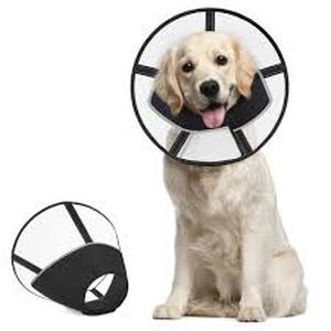 lot 12291 image: Supet Dog Cone Adjustable Pet Recovery Collar