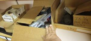 lot 3130 image: Contents on shelf
