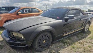lot 13209 image: 2005 Ford Mustang, BLACK