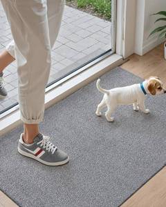 lot 10208 image: DEXI Door Mat 31x48, Non Slip Thin Mats for Entryway, Washable Absorbent Dirt Trapper Front Entry Doormat Inside Entrance Home, Hallway, Patio, Light Grey