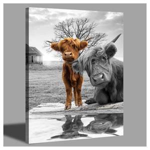 lot 11472 image: Highland Cow Canvas Wall Art Black and White Animal Print Pictures Highland Cattle Photo Framed Farmhouse Painting 12x16 inches for Home Decor