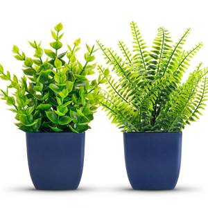lot 12145 image: Der Rose 2 Pack Fake Plants Small Artificial Plants in Blue Pots Faux Plants Indoor for Home Room Bathroom Living Room Decor