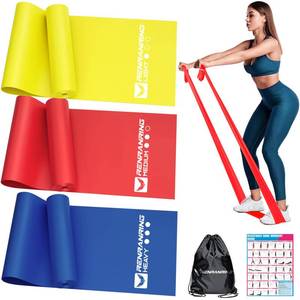 lot 14092 image: Resistance Bands for Working Out, Exercise Bands for Physical Therapy, Stretch, Recovery, Pilates, Rehab, Strength Training and Yoga Starter Set