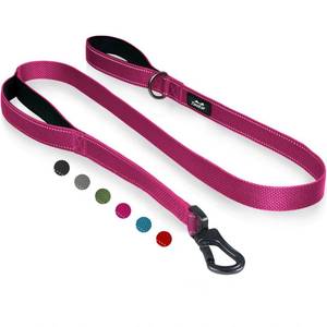 lot 14118 image: TwoEar 6FT 1IN Strong Rose Dog Leash with 2 Padded Handles, Traffic Handle Extra Control, Comfortable Soft Dual Handle, Auto Lock Hook, Reflective Walking Lead for Small Medium and Large Dogs