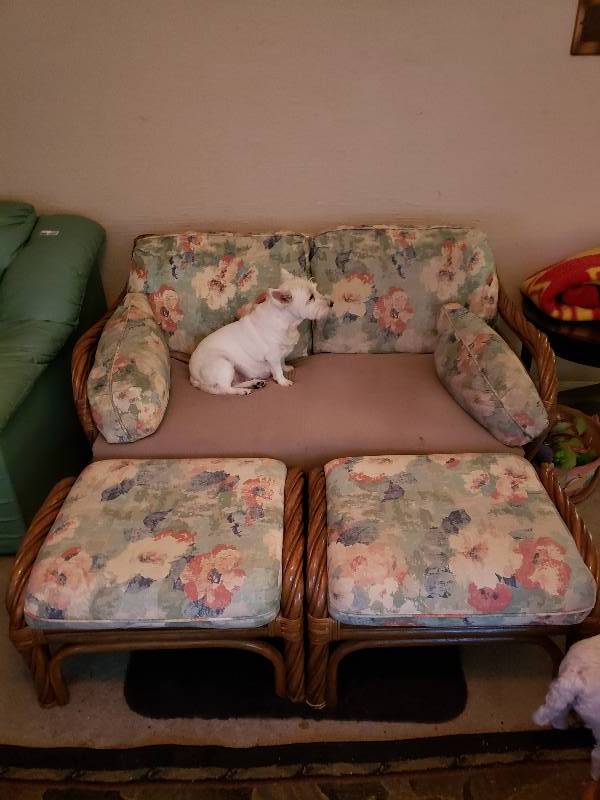 lot 2537 image: Love Seat with Two Foot Rests (model not included)