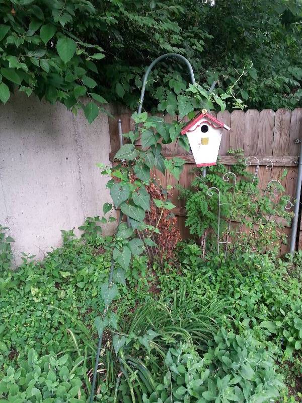 lot 2612 image: Garden Decor Lot