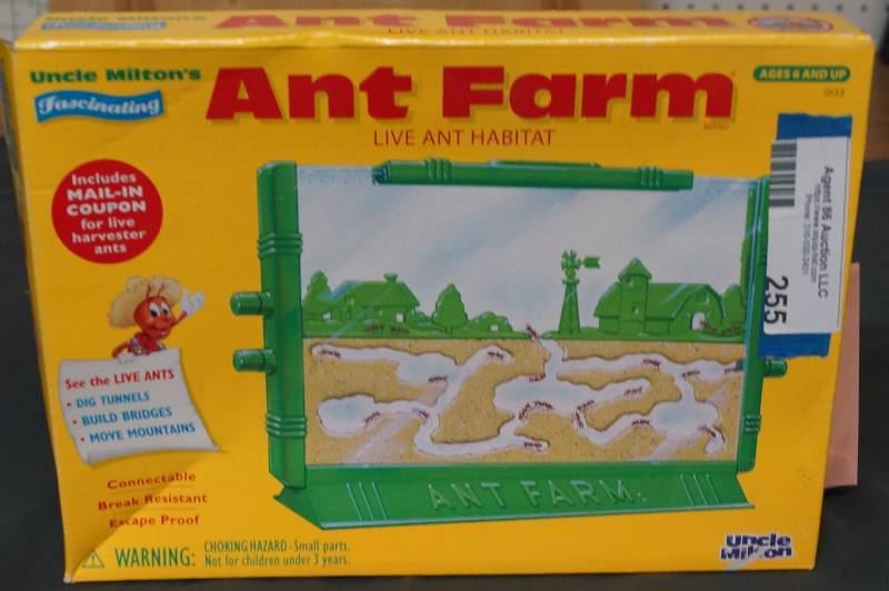 lot 255 image: Ant Farm